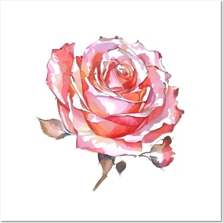 Romantic Blush Pink Hues Isolated Rose Blossom Watercolor Rose Art Posters and Art